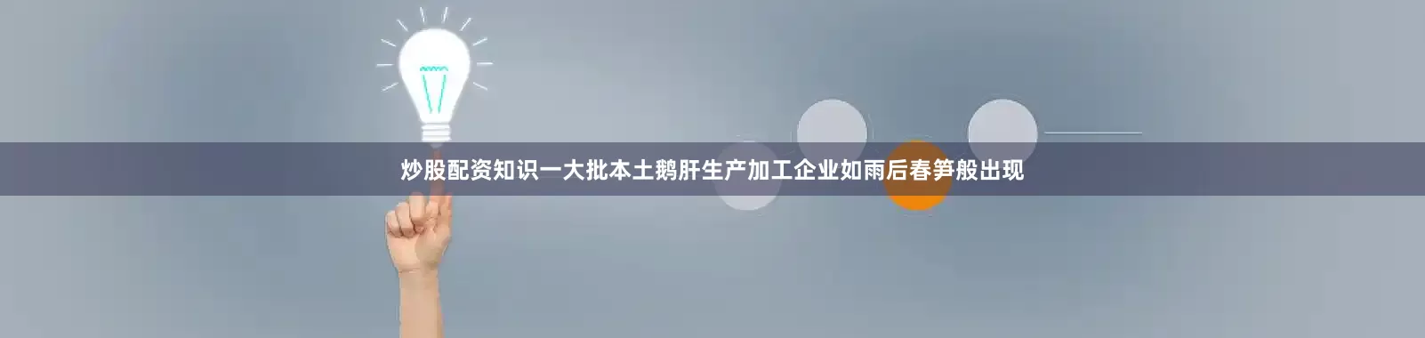 炒股配资知识一大批本土鹅肝生产加工企业如雨后春笋般出现