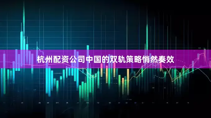 杭州配资公司中国的双轨策略悄然奏效